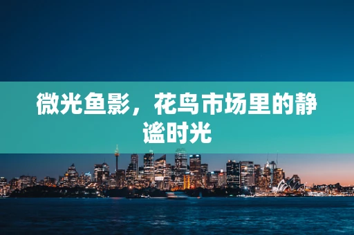 微光鱼影，花鸟市场里的静谧时光