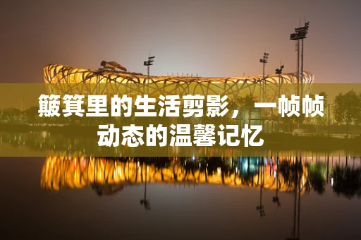 簸箕里的生活剪影，一帧帧动态的温馨记忆