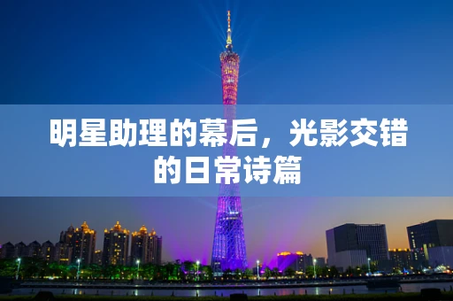 明星助理的幕后，光影交错的日常诗篇