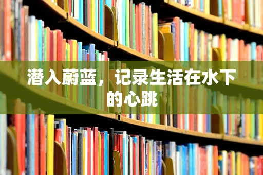 潜入蔚蓝，记录生活在水下的心跳