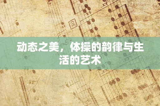 动态之美，体操的韵律与生活的艺术
