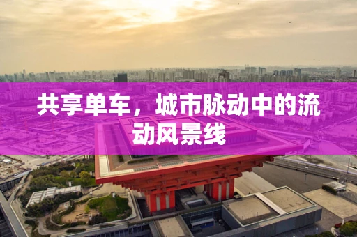 共享单车，城市脉动中的流动风景线