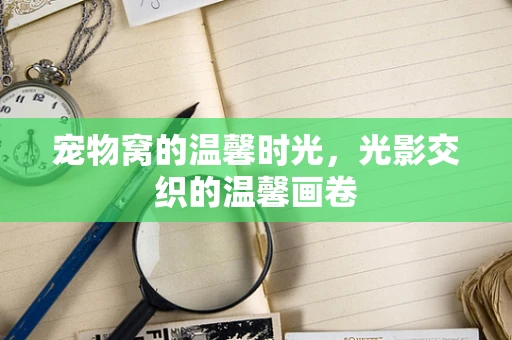 宠物窝的温馨时光，光影交织的温馨画卷