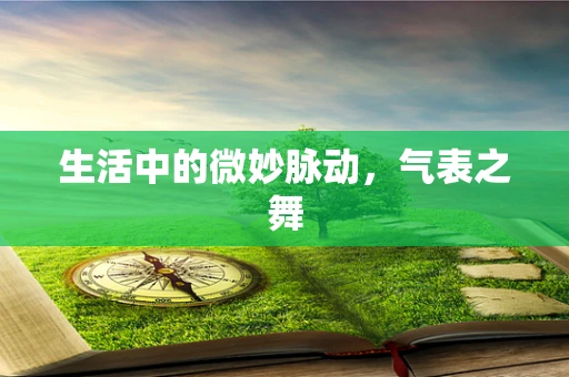 生活中的微妙脉动，气表之舞