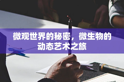 微观世界的秘密，微生物的动态艺术之旅