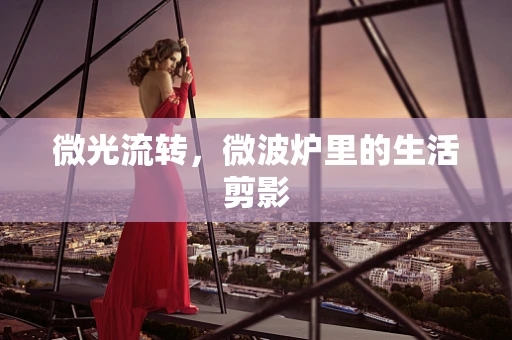微光流转，微波炉里的生活剪影