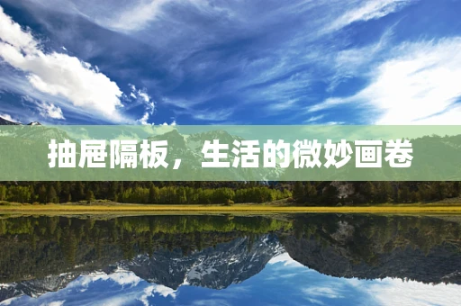 抽屉隔板，生活的微妙画卷