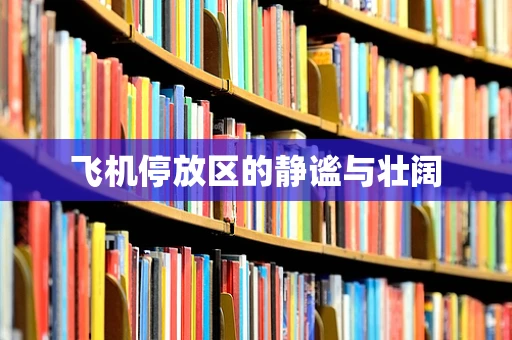 飞机停放区的静谧与壮阔