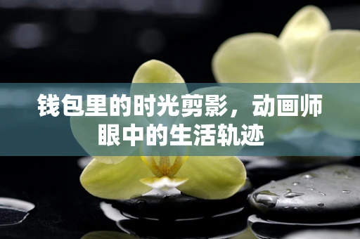 钱包里的时光剪影，动画师眼中的生活轨迹