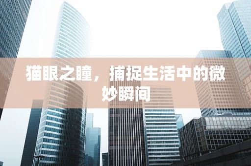 猫眼之瞳，捕捉生活中的微妙瞬间