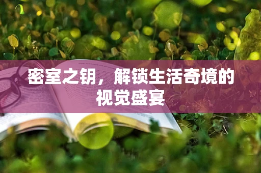 密室之钥，解锁生活奇境的视觉盛宴