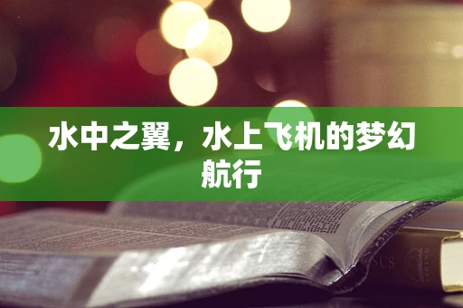 水中之翼，水上飞机的梦幻航行
