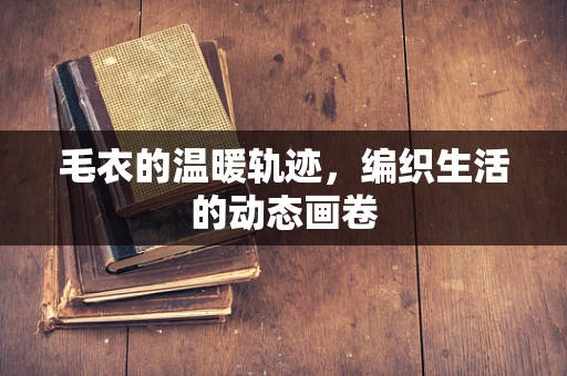 毛衣的温暖轨迹，编织生活的动态画卷