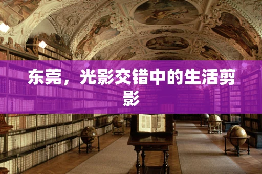 东莞，光影交错中的生活剪影