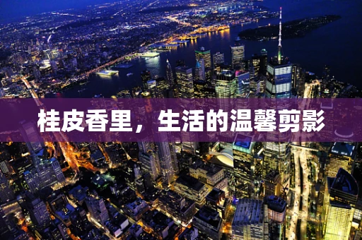 桂皮香里，生活的温馨剪影