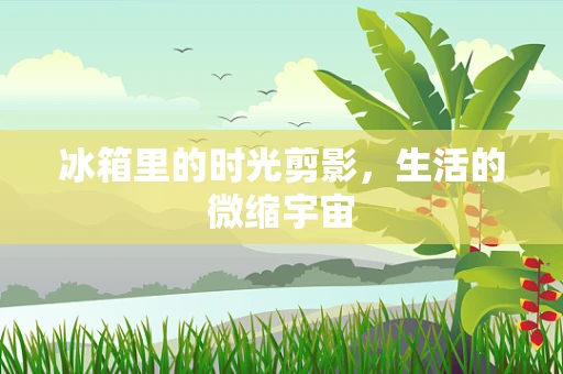 冰箱里的时光剪影，生活的微缩宇宙