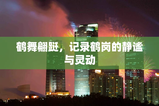鹤舞翩跹，记录鹤岗的静谧与灵动