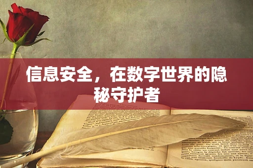 信息安全，在数字世界的隐秘守护者