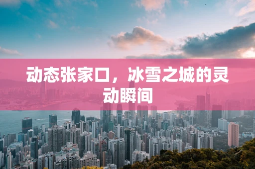 动态张家口，冰雪之城的灵动瞬间