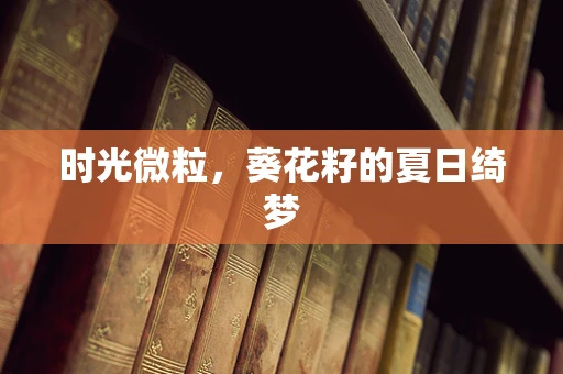 时光微粒，葵花籽的夏日绮梦