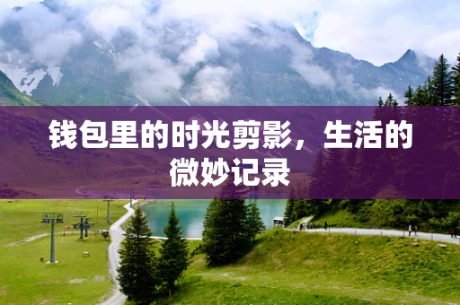 钱包里的时光剪影，生活的微妙记录