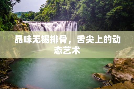 品味无锡排骨，舌尖上的动态艺术