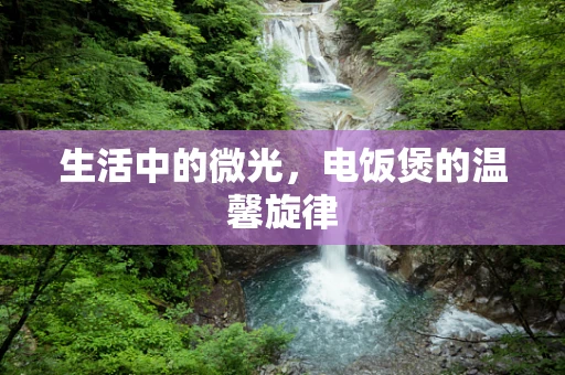 生活中的微光，电饭煲的温馨旋律