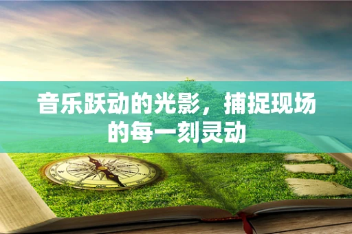 音乐跃动的光影，捕捉现场的每一刻灵动