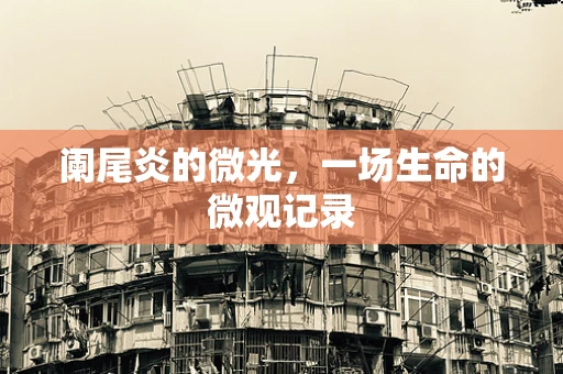 阑尾炎的微光，一场生命的微观记录
