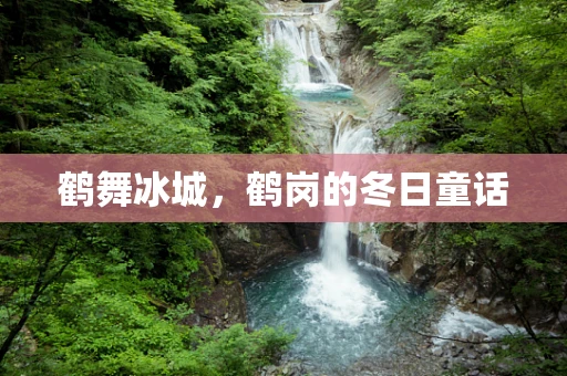 鹤舞冰城，鹤岗的冬日童话
