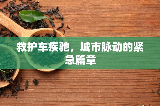 救护车疾驰，城市脉动的紧急篇章