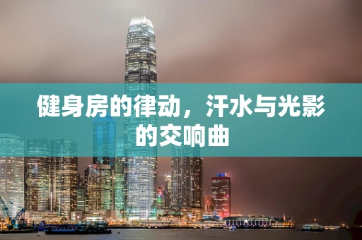 健身房的律动，汗水与光影的交响曲