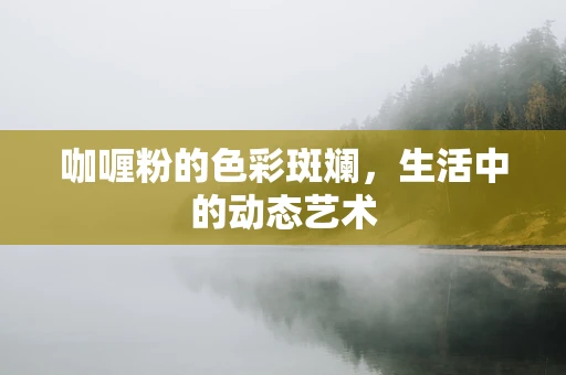 咖喱粉的色彩斑斓，生活中的动态艺术