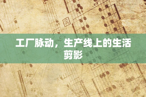 工厂脉动，生产线上的生活剪影