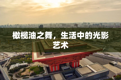 橄榄油之舞，生活中的光影艺术