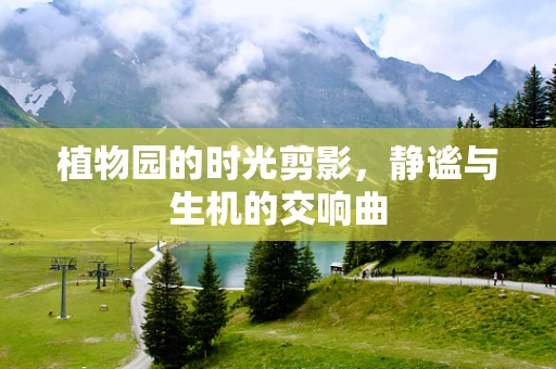植物园的时光剪影，静谧与生机的交响曲