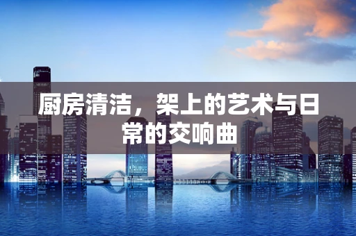厨房清洁，架上的艺术与日常的交响曲