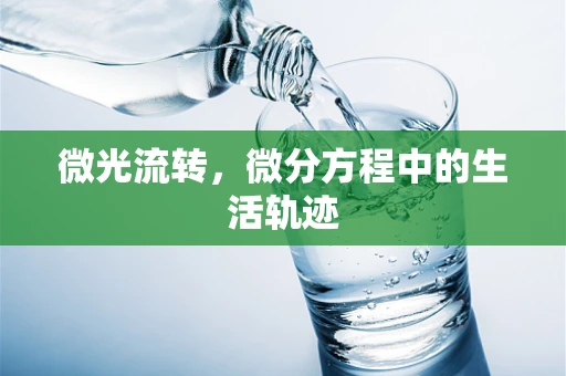 微光流转，微分方程中的生活轨迹