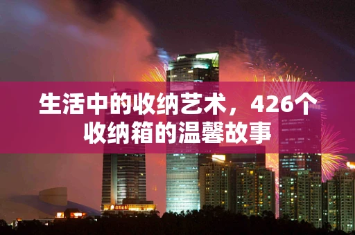 生活中的收纳艺术，426个收纳箱的温馨故事