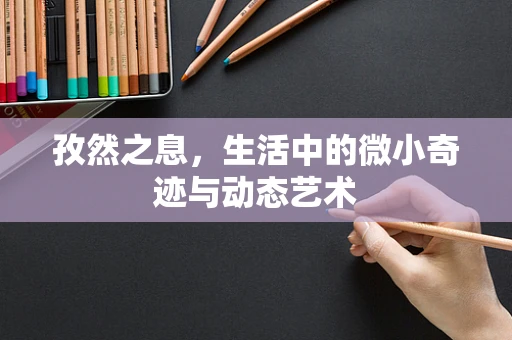 孜然之息，生活中的微小奇迹与动态艺术