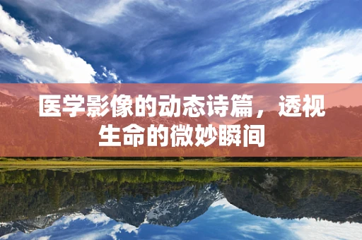 医学影像的动态诗篇，透视生命的微妙瞬间
