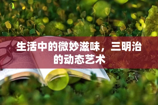 生活中的微妙滋味，三明治的动态艺术