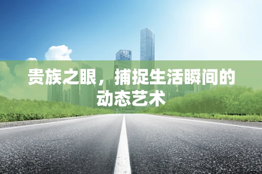 贵族之眼，捕捉生活瞬间的动态艺术