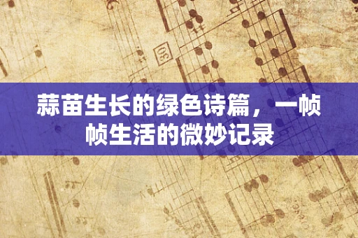 蒜苗生长的绿色诗篇，一帧帧生活的微妙记录