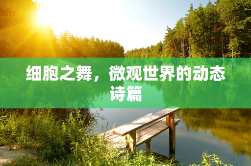 细胞之舞，微观世界的动态诗篇