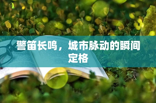 警笛长鸣，城市脉动的瞬间定格