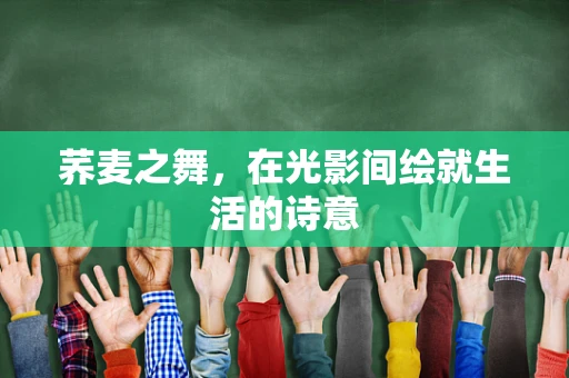 荞麦之舞，在光影间绘就生活的诗意