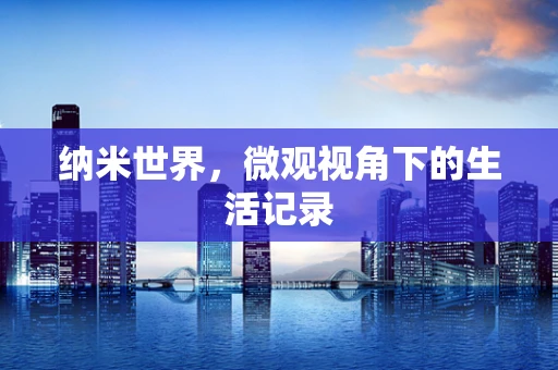 纳米世界，微观视角下的生活记录