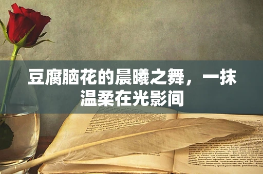 豆腐脑花的晨曦之舞，一抹温柔在光影间