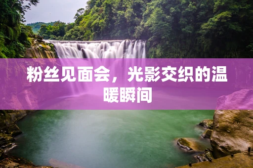 粉丝见面会，光影交织的温暖瞬间
